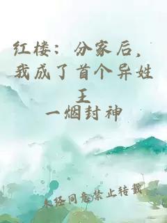 紅樓:分家后,我成了首個異姓王