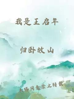 我是王啟年