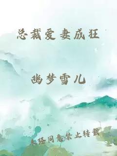 總裁愛妻成狂