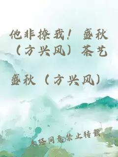 他非撩我!盛秋(方興風)茶藝