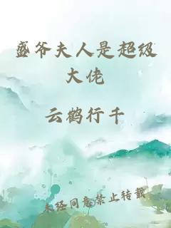 盛爺夫人是超級大佬
