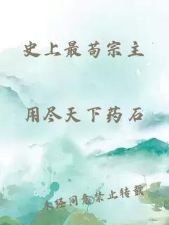 史上最茍宗主
