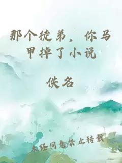 那個徒弟，你馬甲掉了小說
